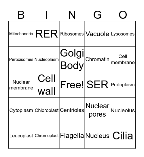 Cell Organelles Bingo Card