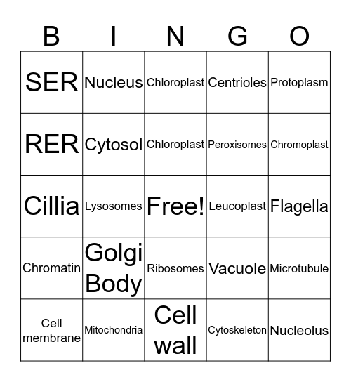 Cell Organelles Bingo Card