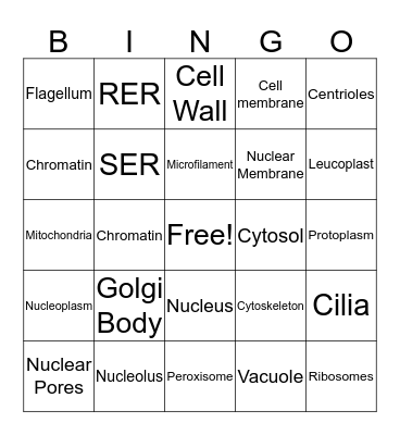 Cell Organelles Bingo Card