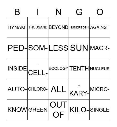 Latin/Greek Affixes and Root Words Bingo Card