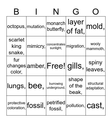 Animal adaptations Bingo Card