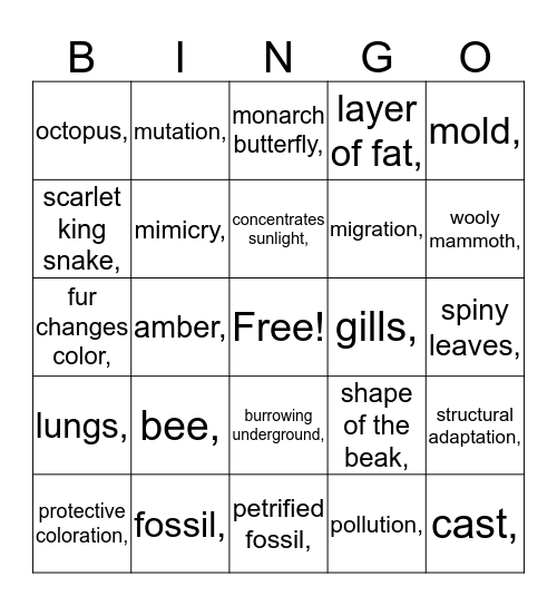 Animal adaptations Bingo Card