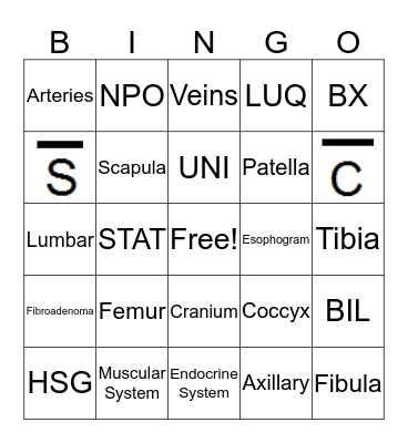 Medical Terminology Bingo Card