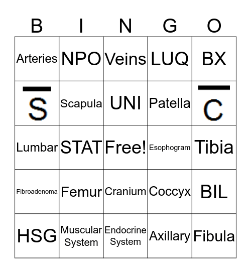 Medical Terminology Bingo Card