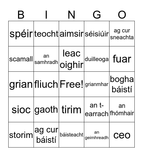 An Aimsir  Bingo Card