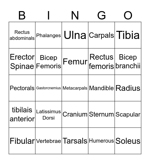 Bone & Muscle Bingo Card