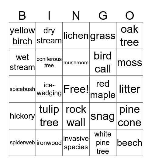 Forest Bingo Card