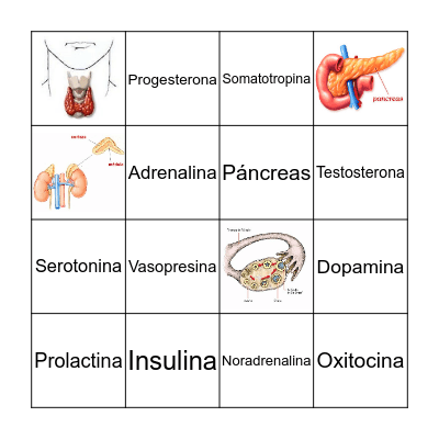 PSICOLOGIA I Bingo Card
