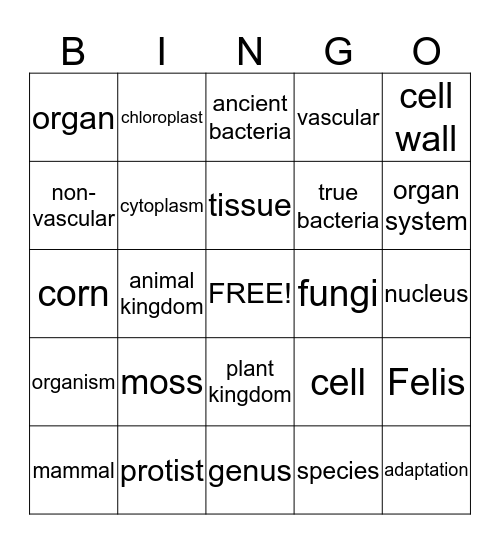 Chapter 1 Review Bingo! Bingo Card