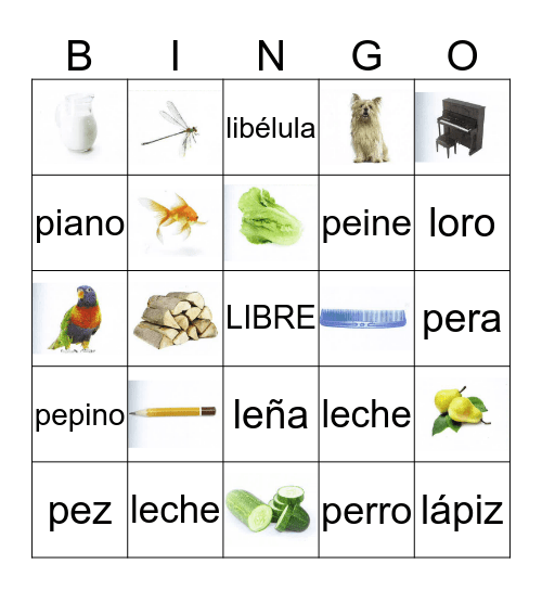 Palabras de P y L Bingo Card