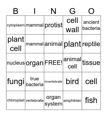Chapter 1 Review Bingo! Bingo Card