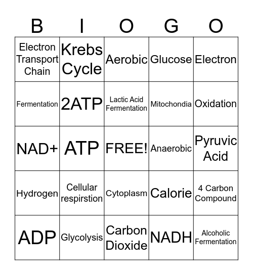 Biogo Bingo Card