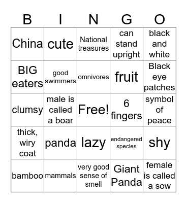 PANDA BIRTHDAY BINGO Card