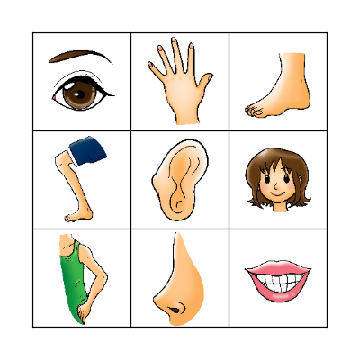 Las Partes del Cuerpo Bingo Card