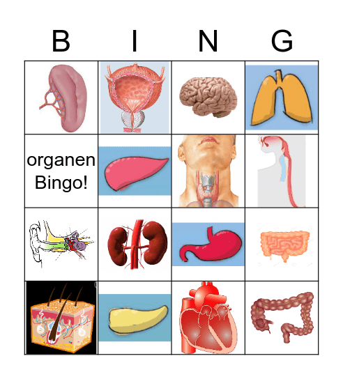 Organen Bingo Card
