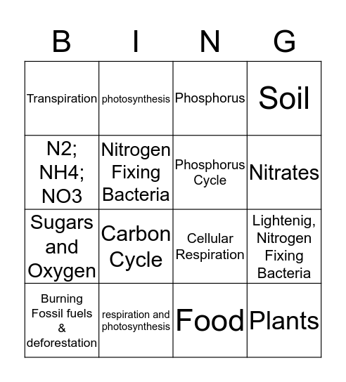 Bio-Chemical Cycles Bingo Card