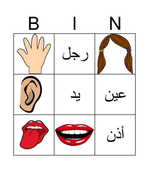 أعضاء الجسم Bingo Card