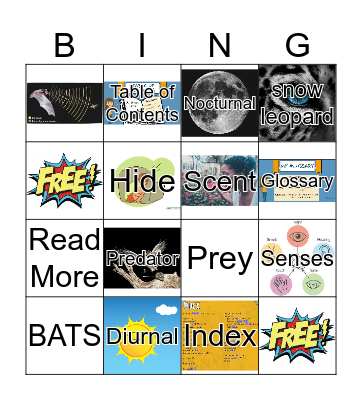Nocturnal Bingo Card
