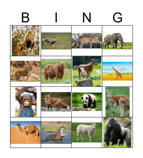 Animals (1) Bingo Card