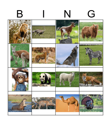 Animals (1) Bingo Card