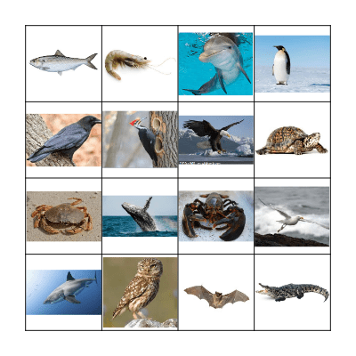 Animals (2) Bingo Card