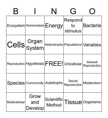 Biology Review  Bingo Card