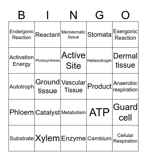 Checkpoint 2 Review Bingo Card
