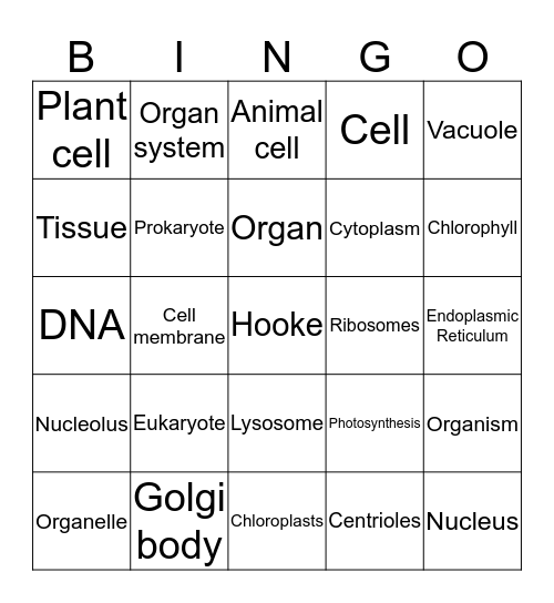 Cell Organelles Bingo Card