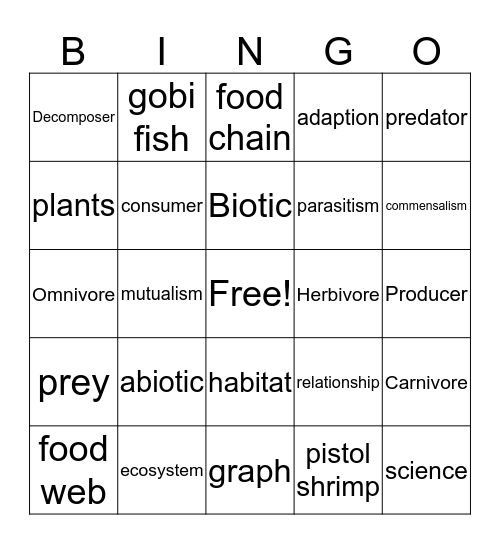 Science Bingo Card