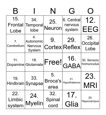 Biopsych Bingo Card