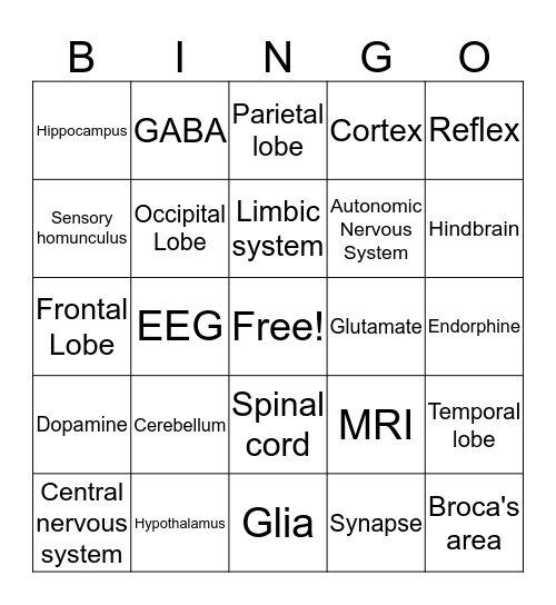 Biopsych Bingo Card