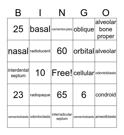 DH 306 Cementum & Alveolar Process Bingo Card
