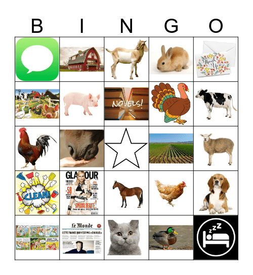 Unité 3B- FR3A- Les animaux de la ferme Bingo Card