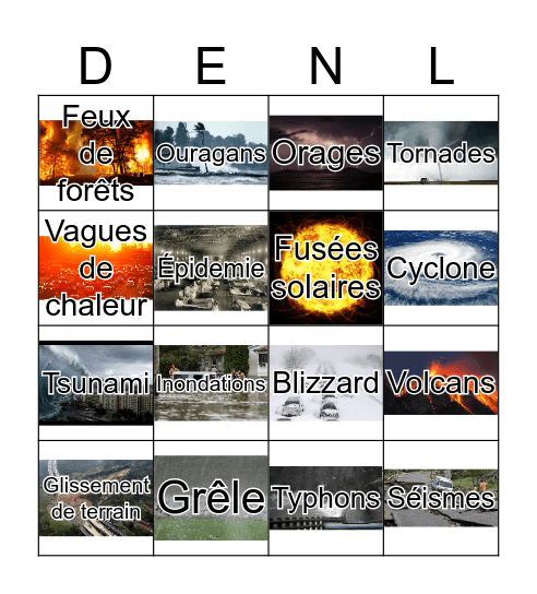 Désastre naturel Bingo Card