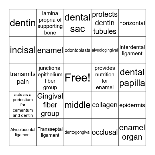 DH 306 Periodontal Ligament Bingo Card