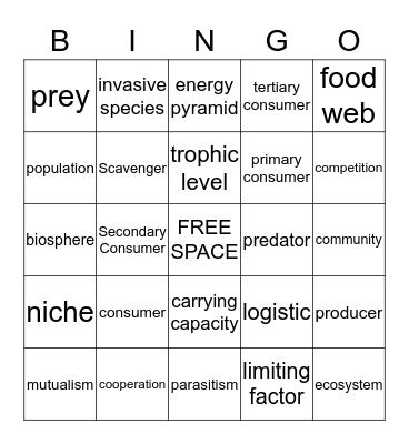 Energy Flow Bingo Card