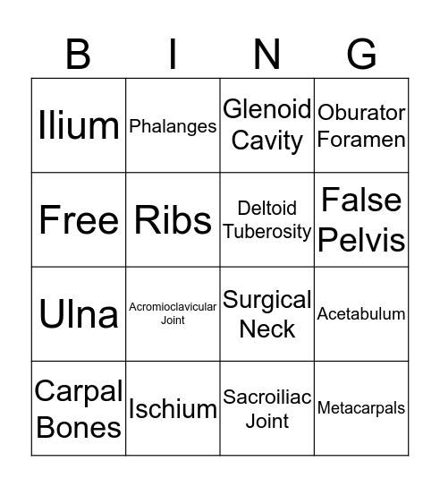 Appendicular Skeleton Bingo Card