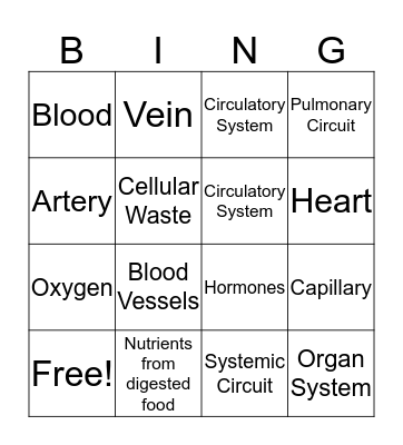 Circulatory System Bingo Card