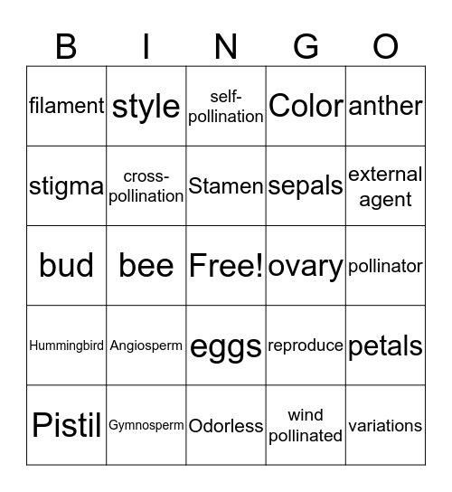 Flowering Plants  Bingo Card