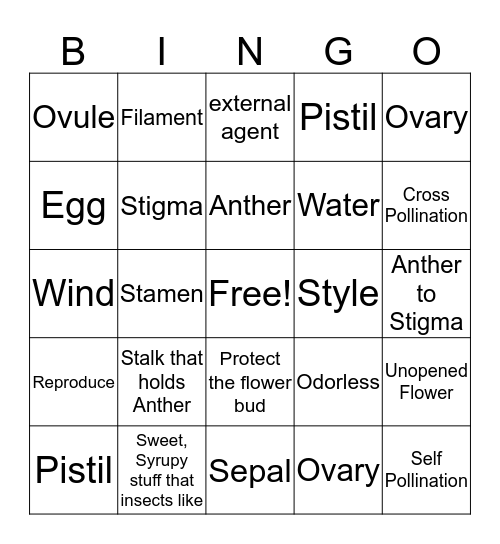 Flowering Plants  Bingo Card