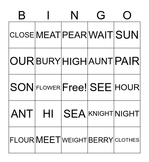 HOMOPHONES Bingo Card