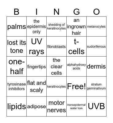 Chapter 10 Review Game Bingo Card