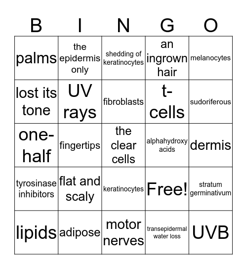 Chapter 10 Review Game Bingo Card