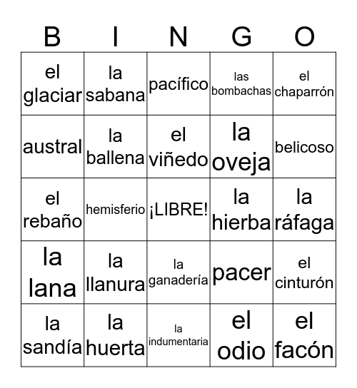 el Cono sur Bingo Card