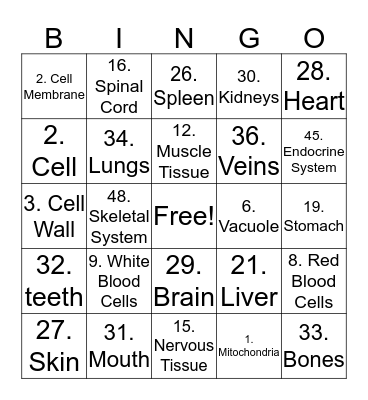 Science Bingo  Bingo Card