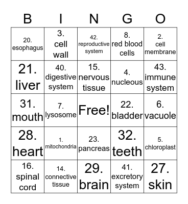 Science Bingo Card