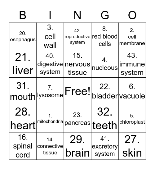 Science Bingo Card