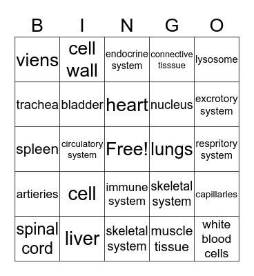 Bingo :D Bingo Card