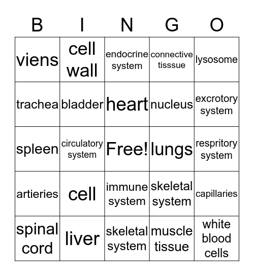 Bingo :D Bingo Card