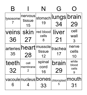 Science Bingo Card